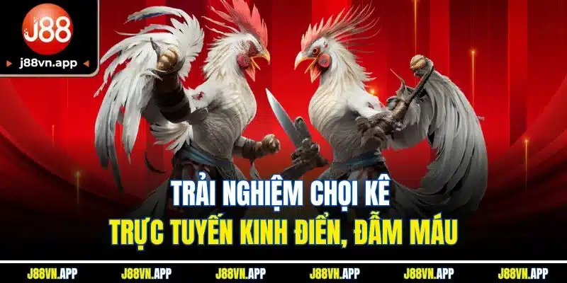Trang chủ 25 Trải nghiệm chọi kê trực tuyến kinh điển, đẫm máu